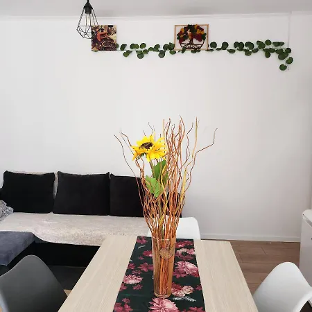 Zu Hause Apartament Gruia Apartment